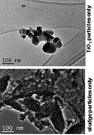 Micrographs Titanium dioxide