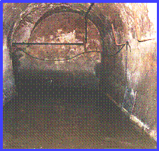 Biofilm in sewers