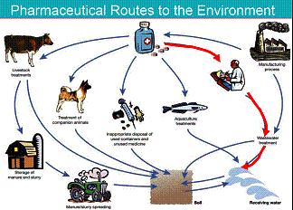 Routes to the environment for pharmaceuticals